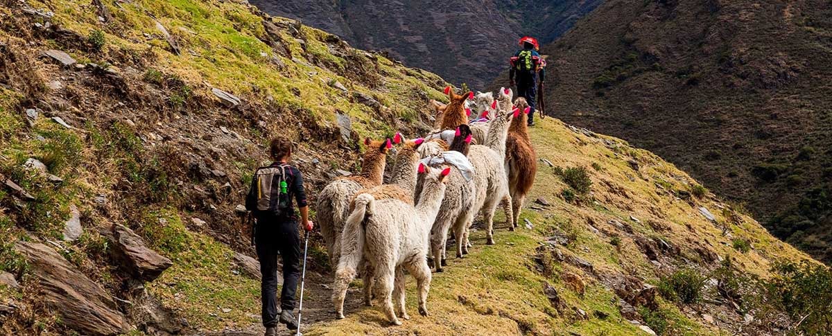 Camino Inca 4 dias