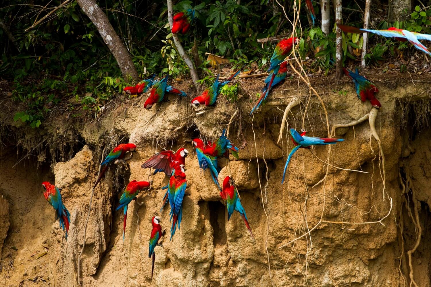 Camino Inca 4 dias